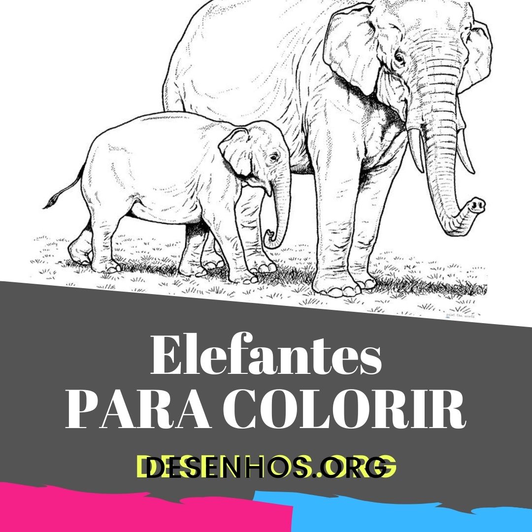 Elefantes para colorir!