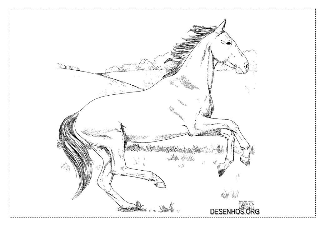 Mais de 100 desenhos de cavalos para colorir!