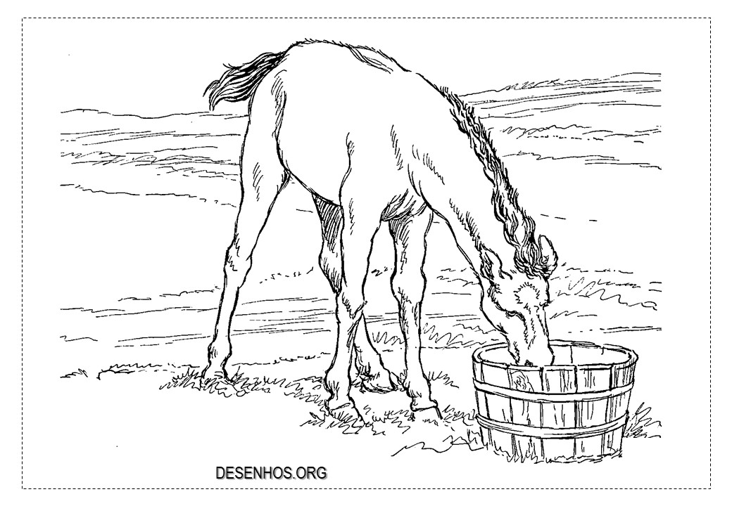 Mais de 100 desenhos de cavalos para colorir!