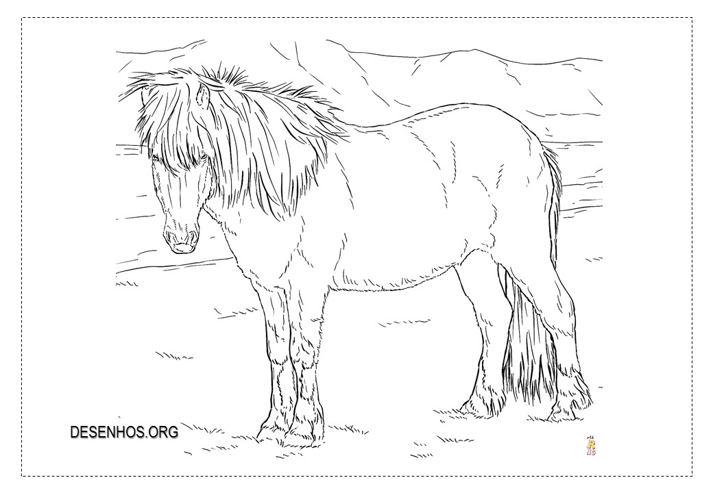 Mais de 100 desenhos de cavalos para colorir!