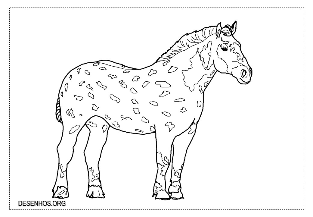 Mais de 100 desenhos de cavalos para colorir!