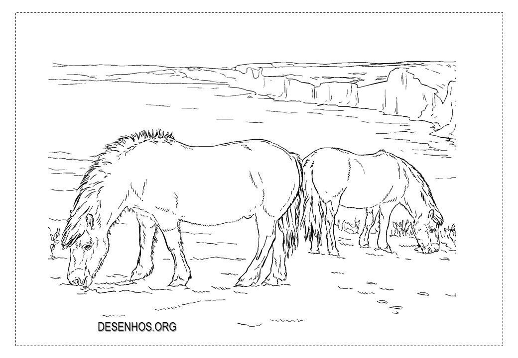 Mais de 100 desenhos de cavalos para colorir!