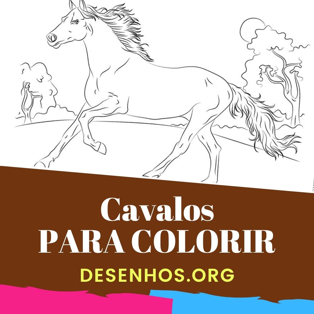 Mais de 100 desenhos de cavalos para colorir!