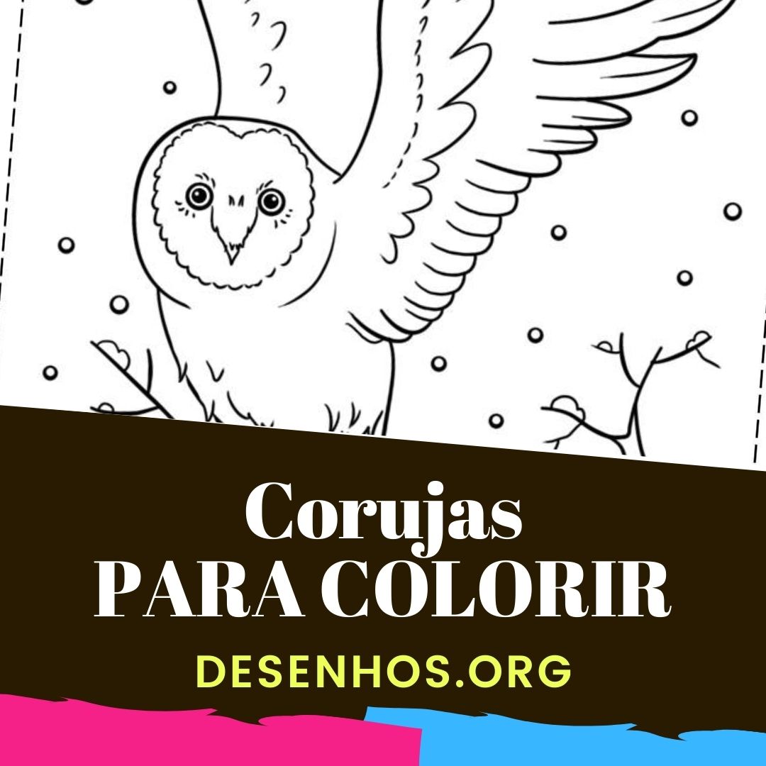 Corujas para colorir!