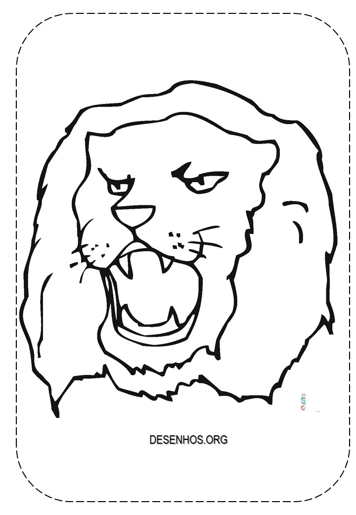 Leões para colorir!