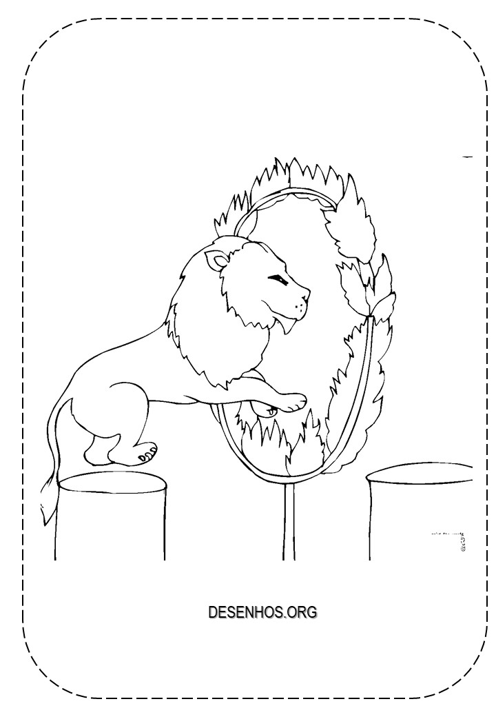 Leões para colorir!