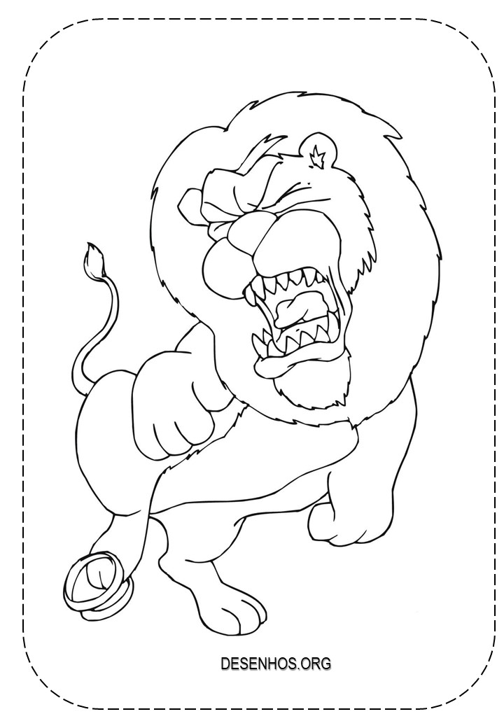 Leões para colorir!