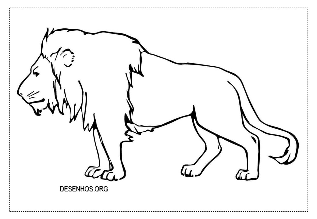 Leões para colorir!