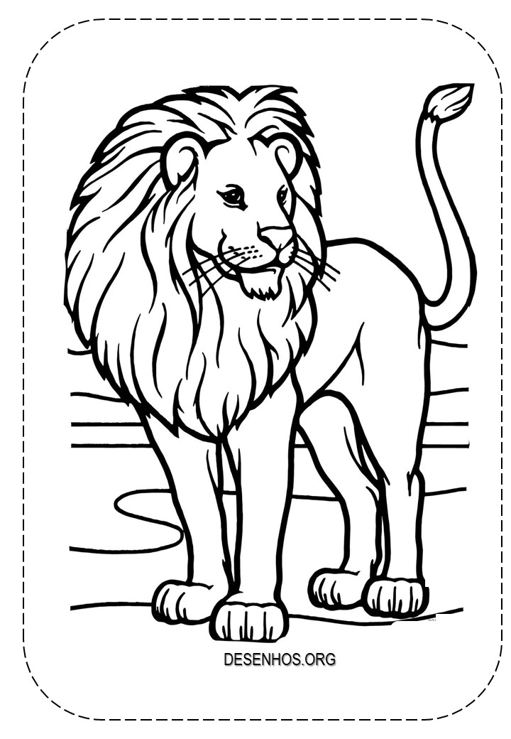 Leões para colorir!