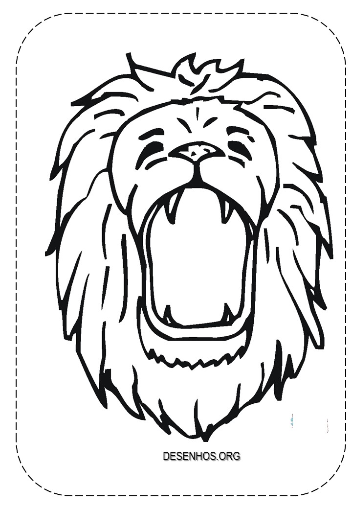 Leões para colorir!