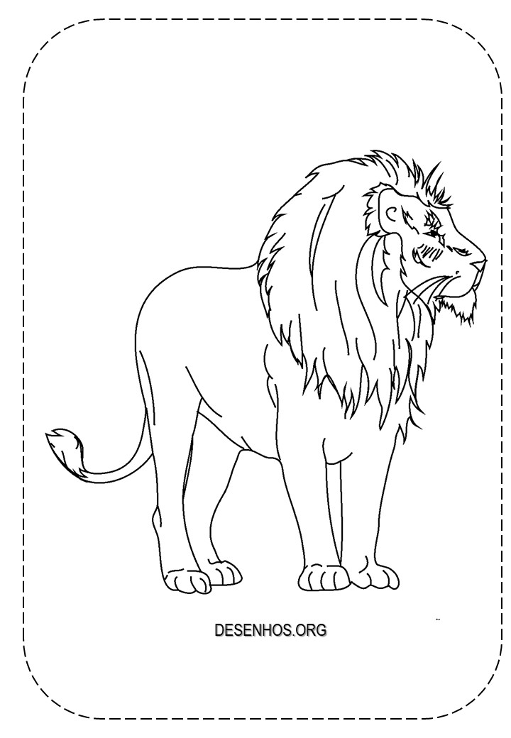 Leões para colorir!