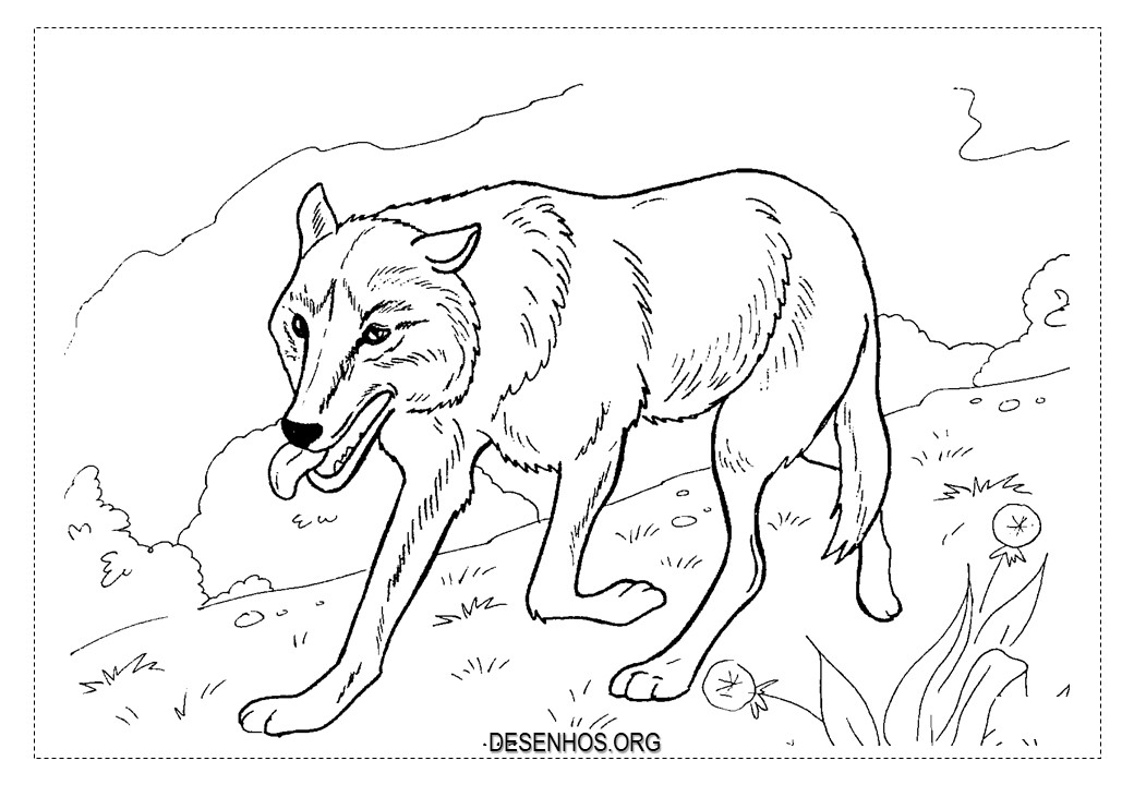 Lobos para colorir!
