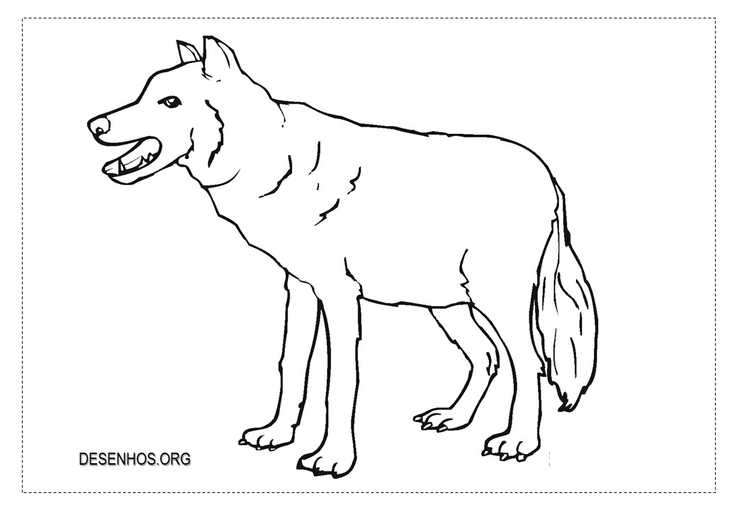 Lobos para colorir!