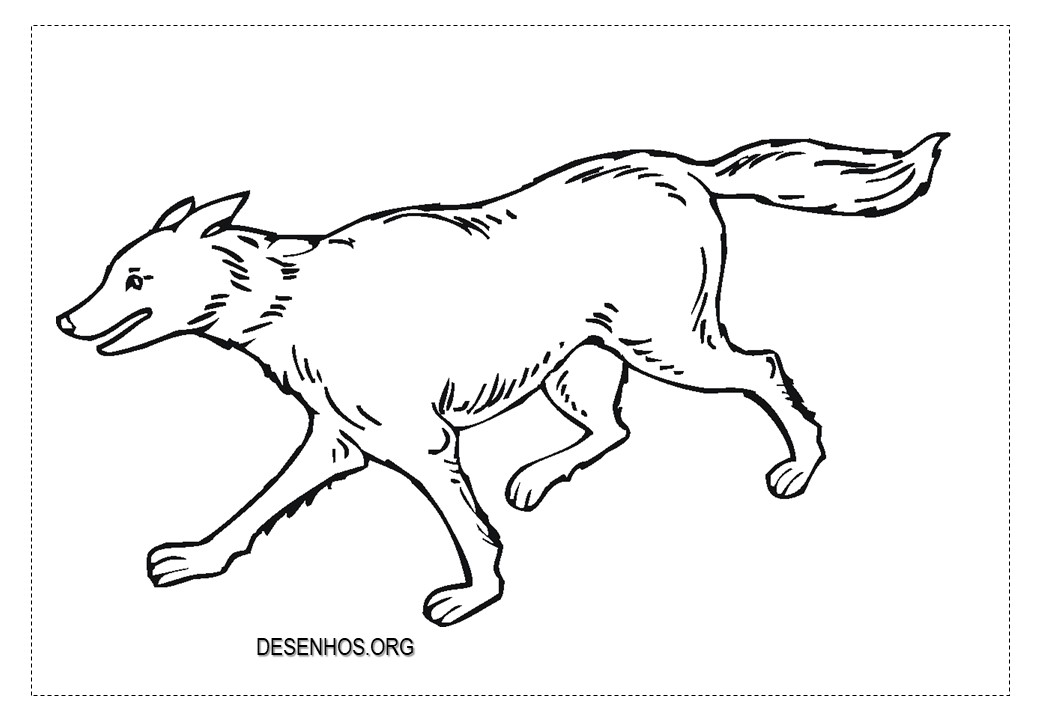 Lobos para colorir!