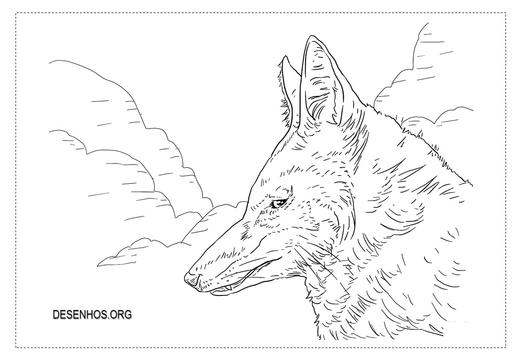 Lobos para colorir!