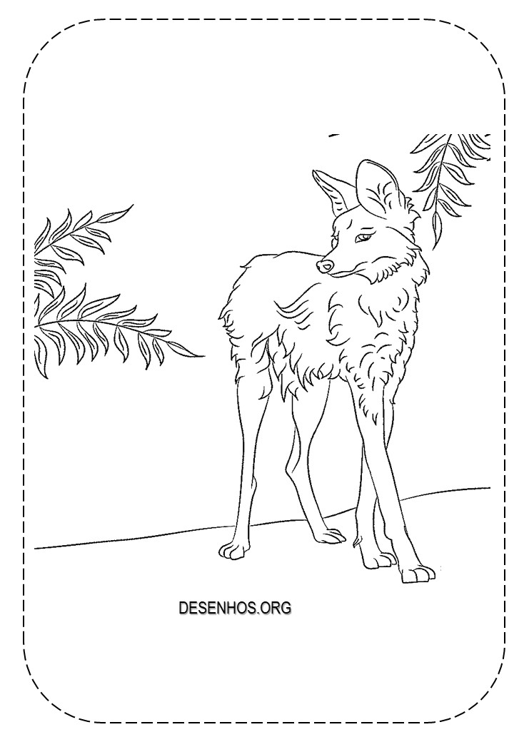 Lobos para colorir!