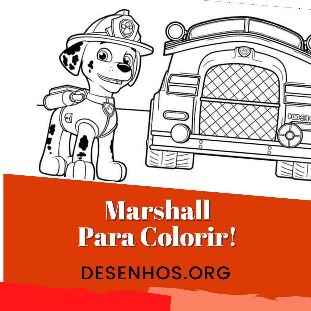 30 Desenhos do Marshall para colorir!