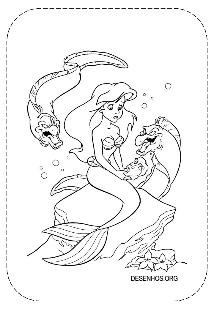 Ariel imprimir 13
