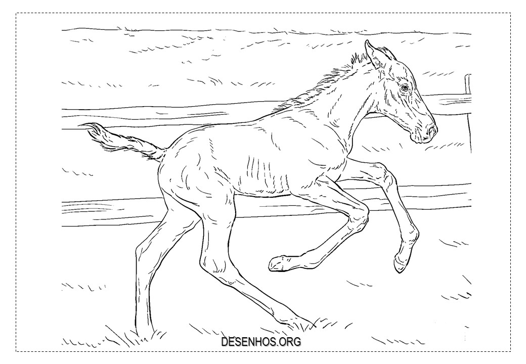 cavalos imprimir 7