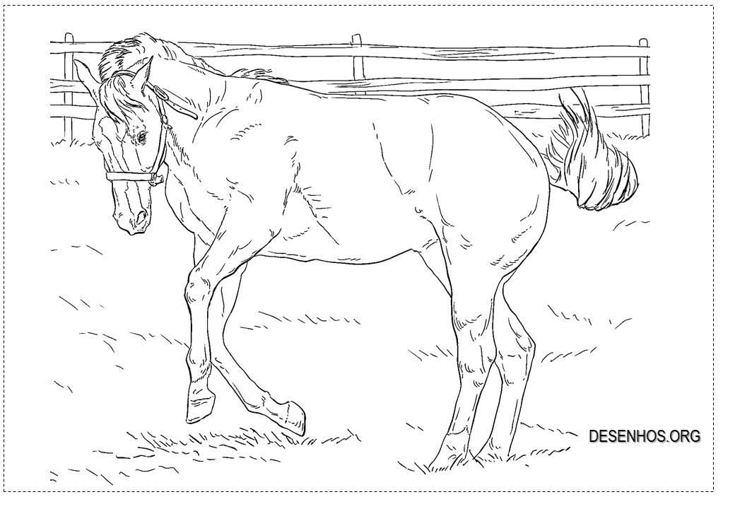 cavalos imprimir 8