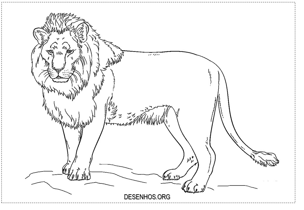 leao imprimir e colorir 7