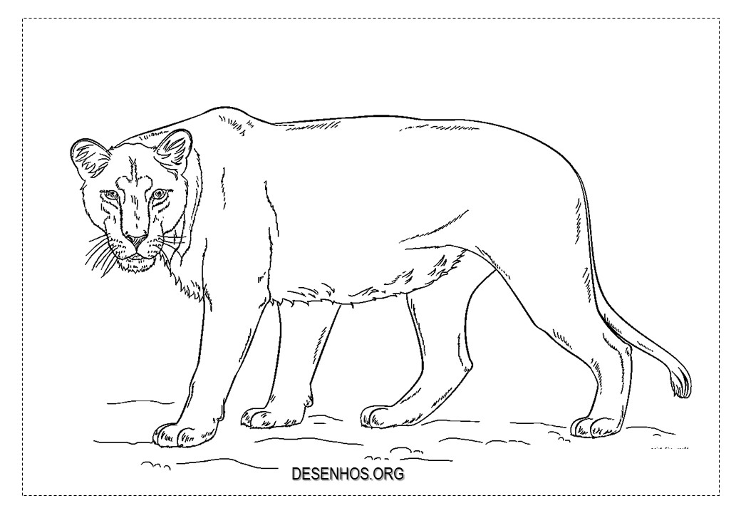 leao imprimir e colorir 8