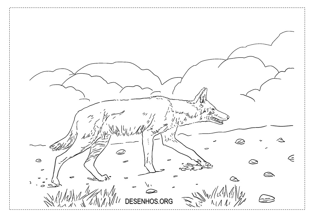 lobos imprimir 1