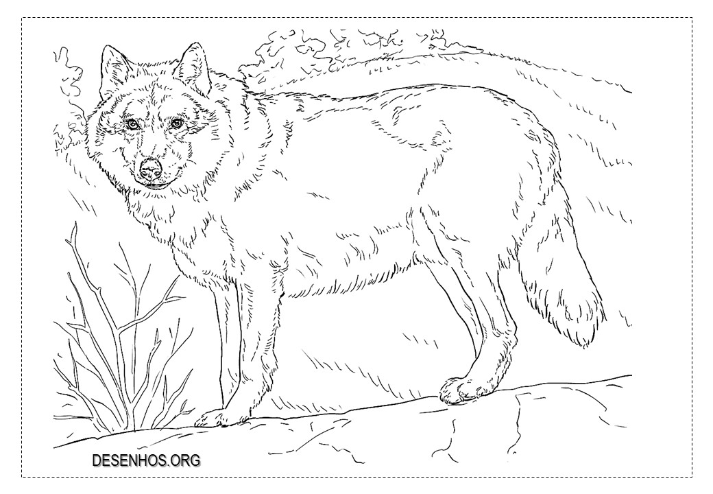 lobos imprimir 12