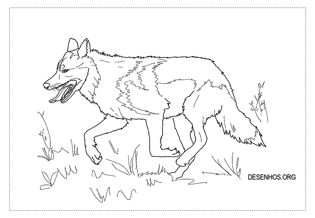 lobos imprimir 18
