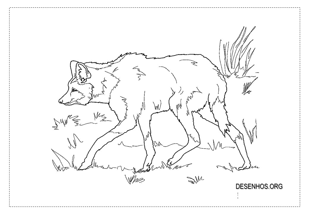 lobos imprimir 19