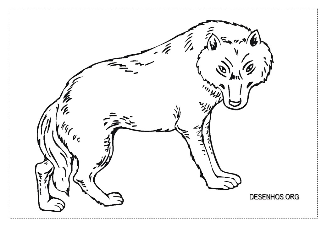 lobos imprimir 20