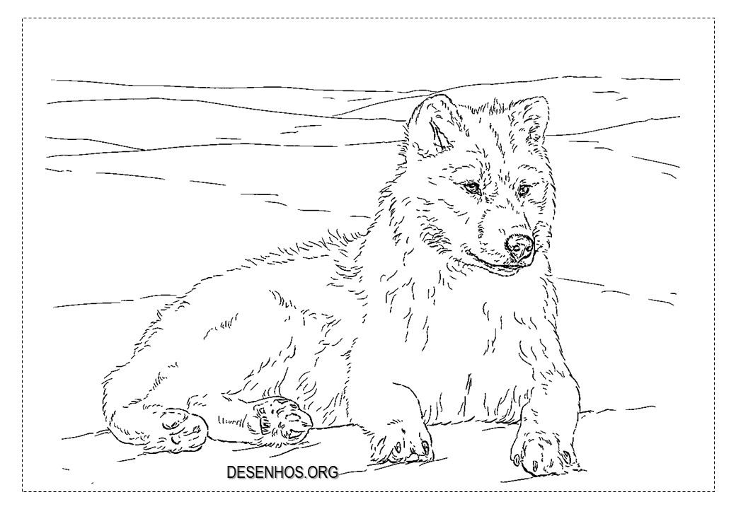 lobos imprimir 4