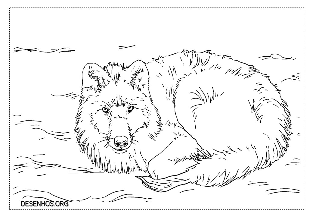 lobos imprimir 5