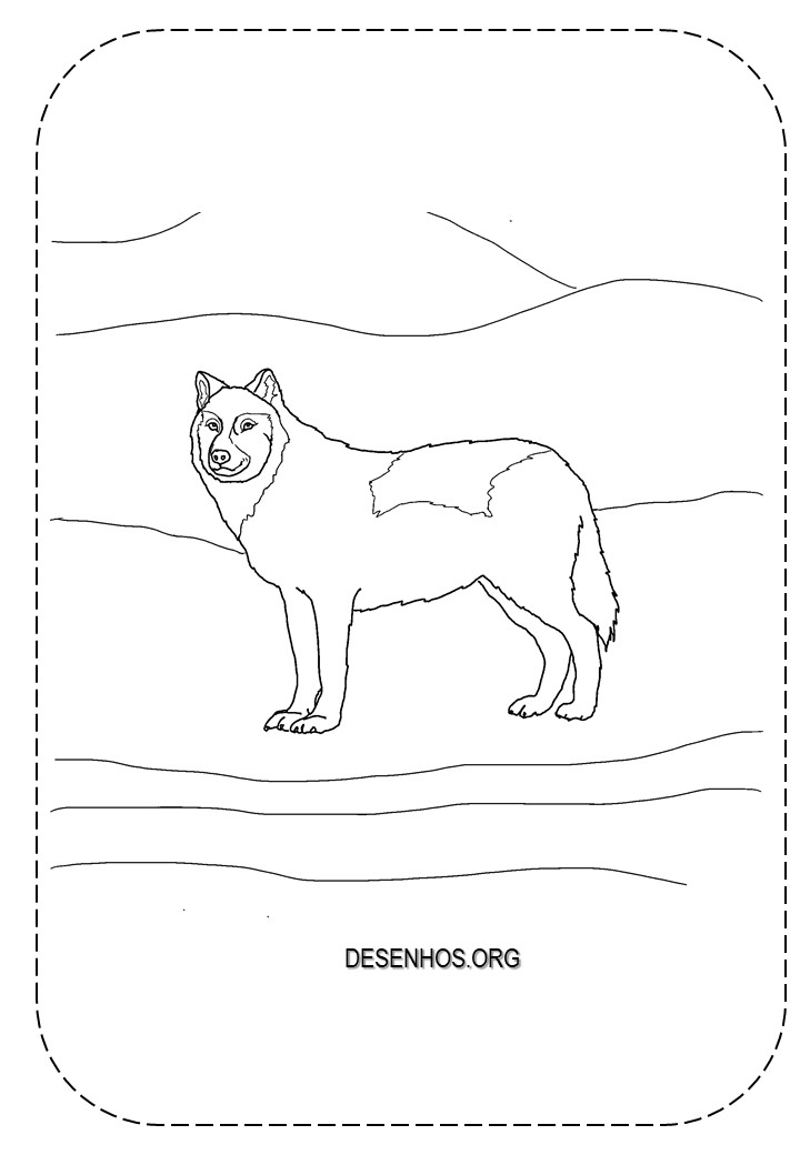 lobos imprimir e colorir 1