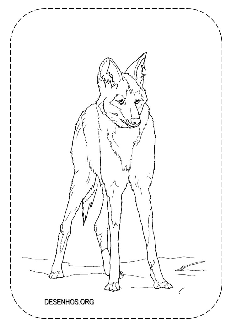 lobos imprimir e colorir 10