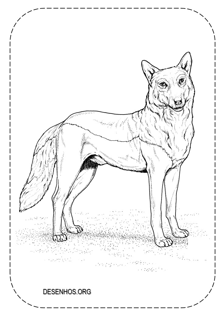 lobos imprimir e colorir 12
