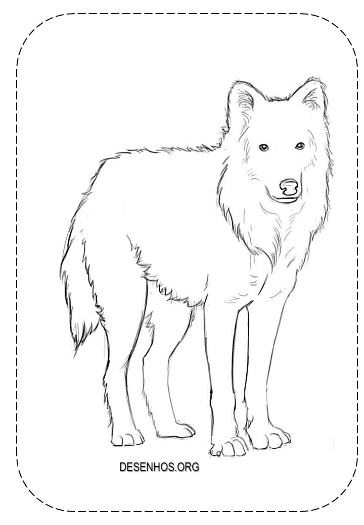 lobos imprimir e colorir 2