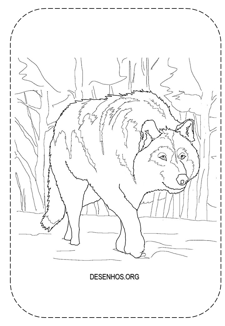 lobos imprimir e colorir 3
