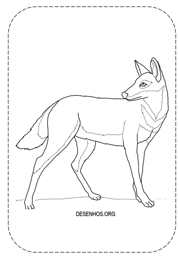 lobos imprimir e colorir 4