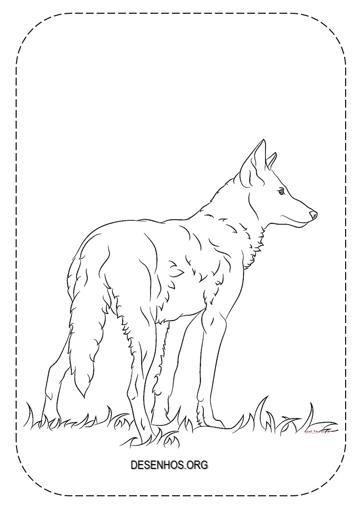 lobos imprimir e colorir 5