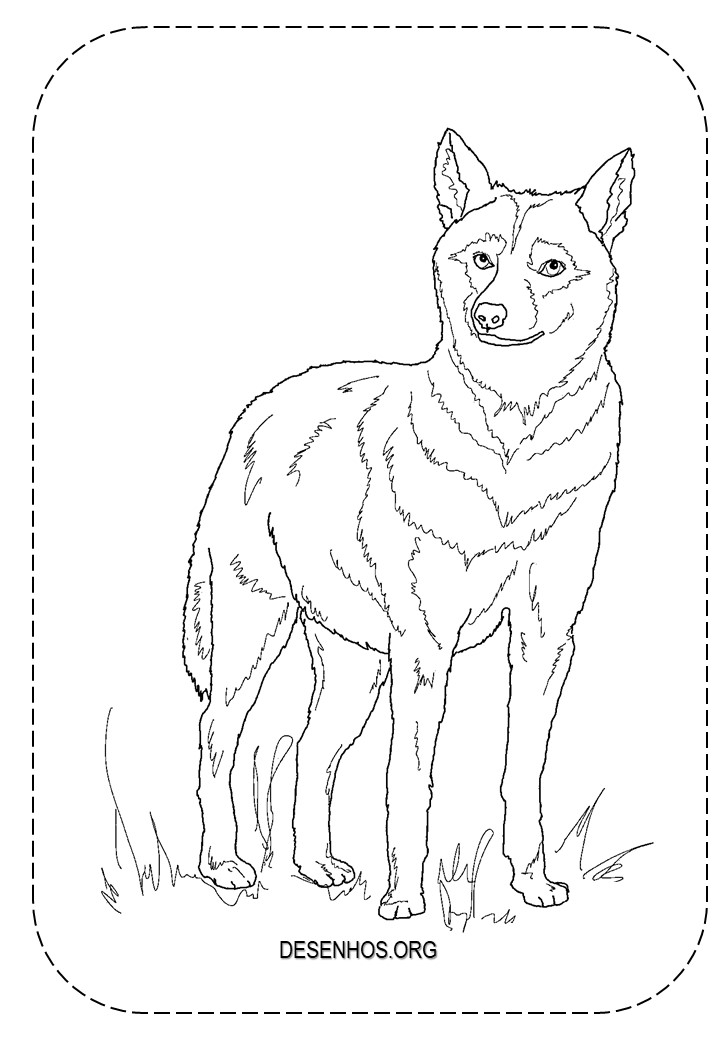 lobos imprimir e colorir 7