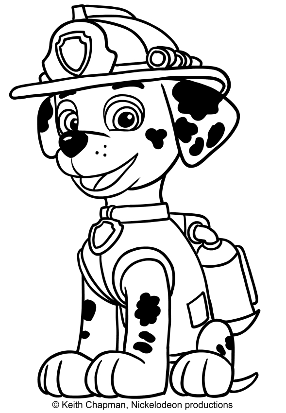 desenhos para colorir patrulha canina 37