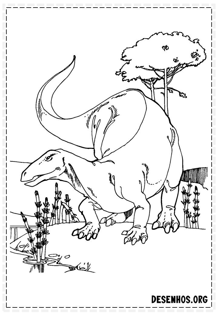 Dinossauros para colorir 118