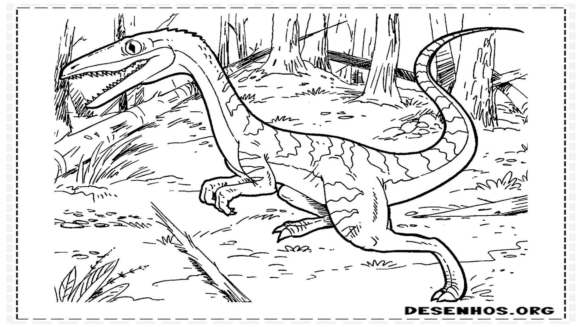 desenhos de dinossauros para colorir 20 desenhos de dinossauros para colorir 20