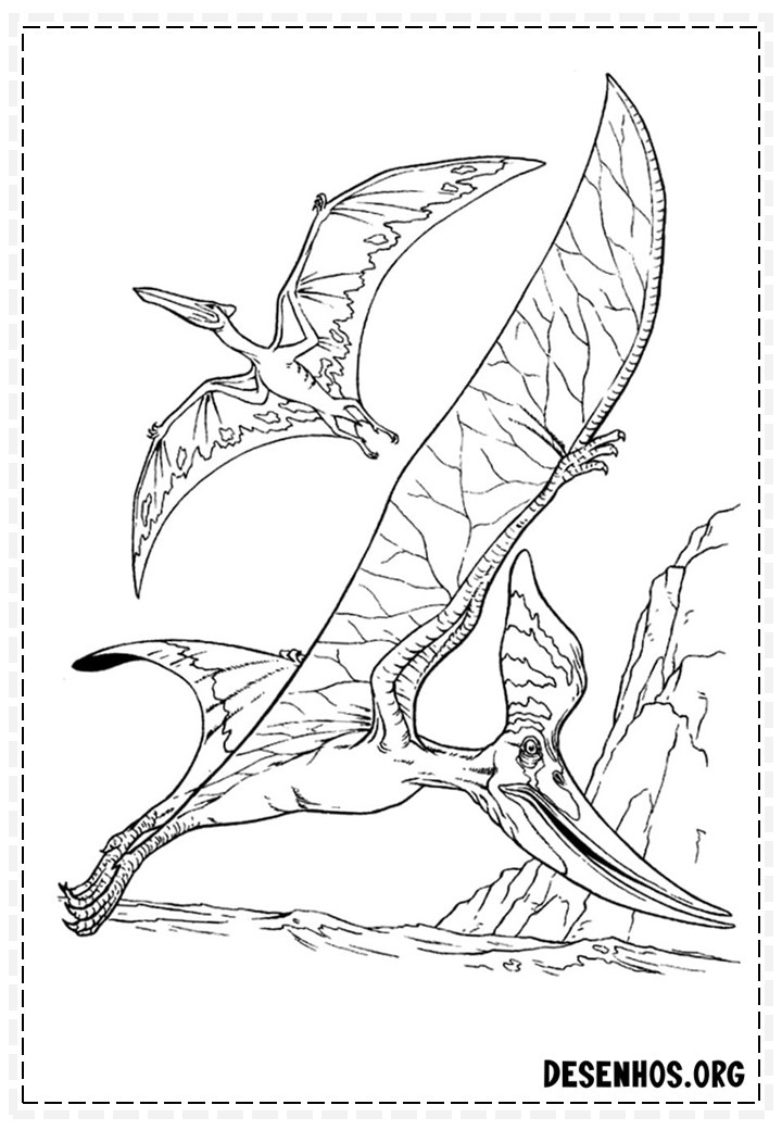Dinossauros para colorir 248