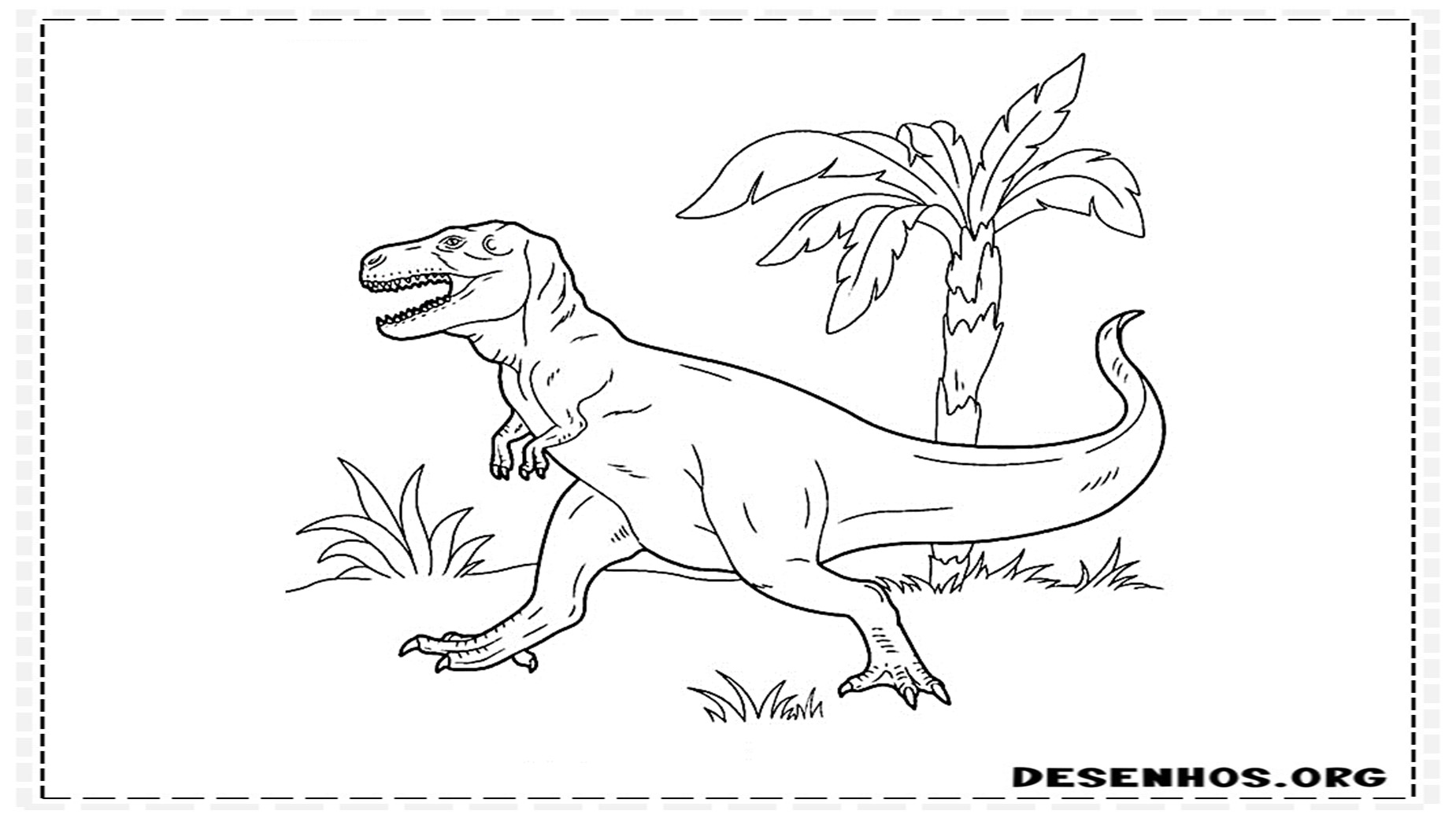desenhos de dinossauros para colorir 63