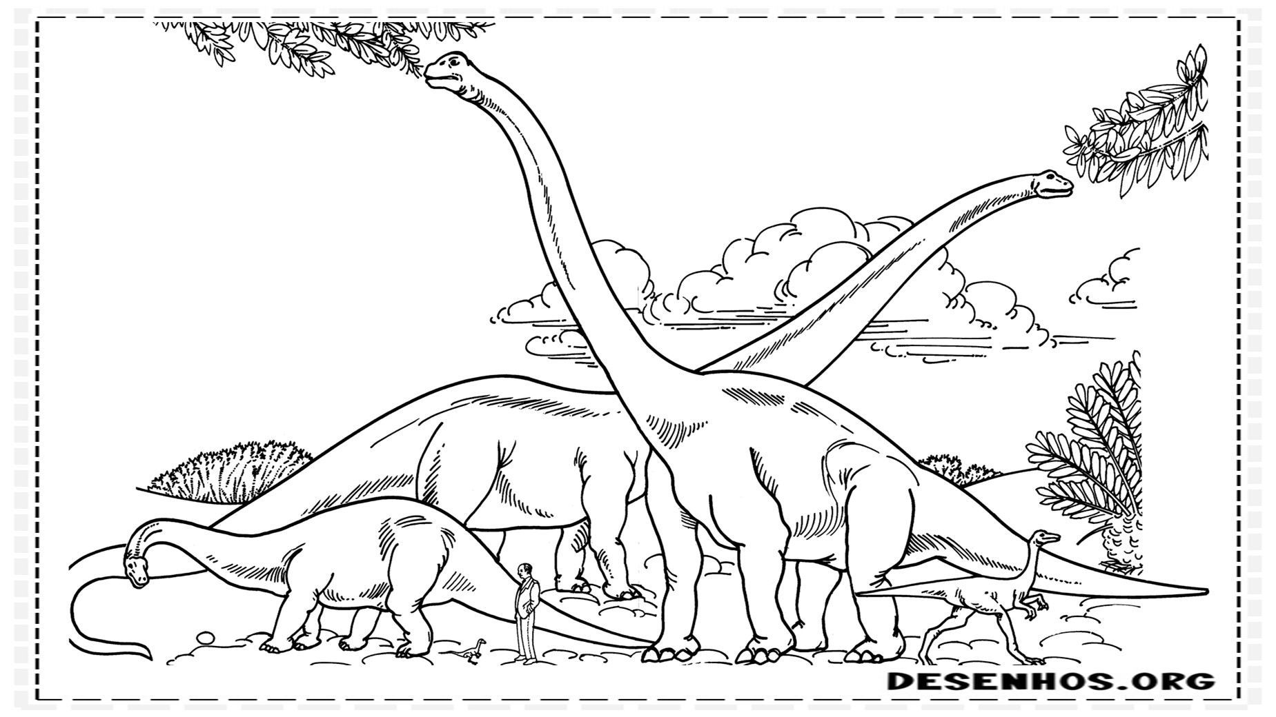 desenhos de dinossauros para colorir 8
