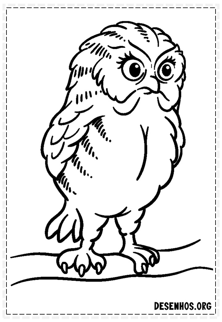 desenhos de corujas fofas para colorir 33