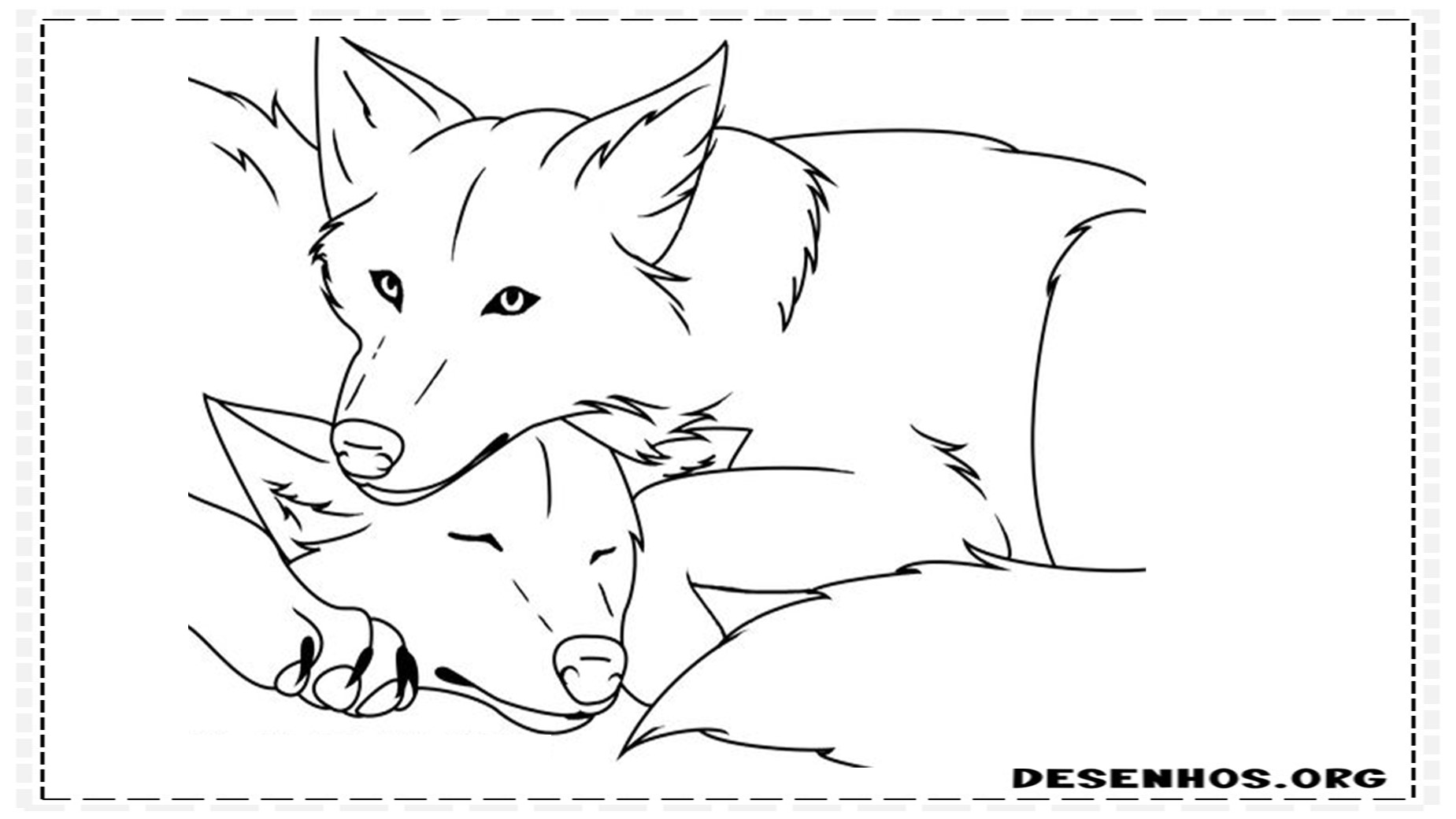 desenhos de lobo 1