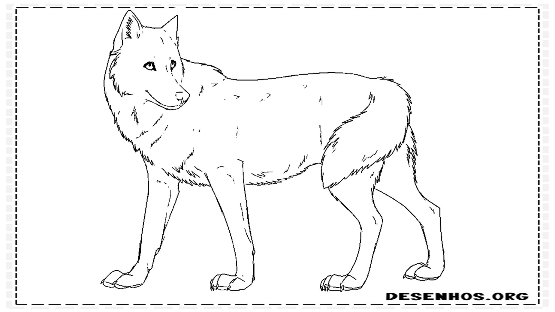 desenhos de lobo 10